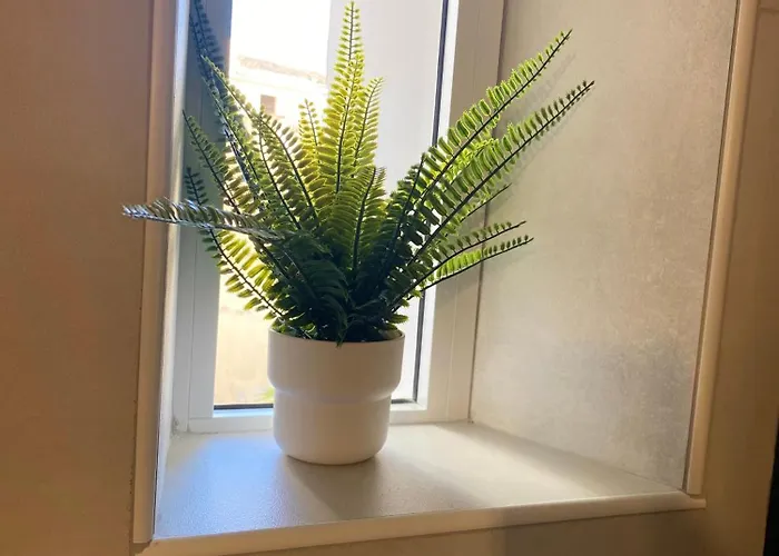 Appartamento Calvello *